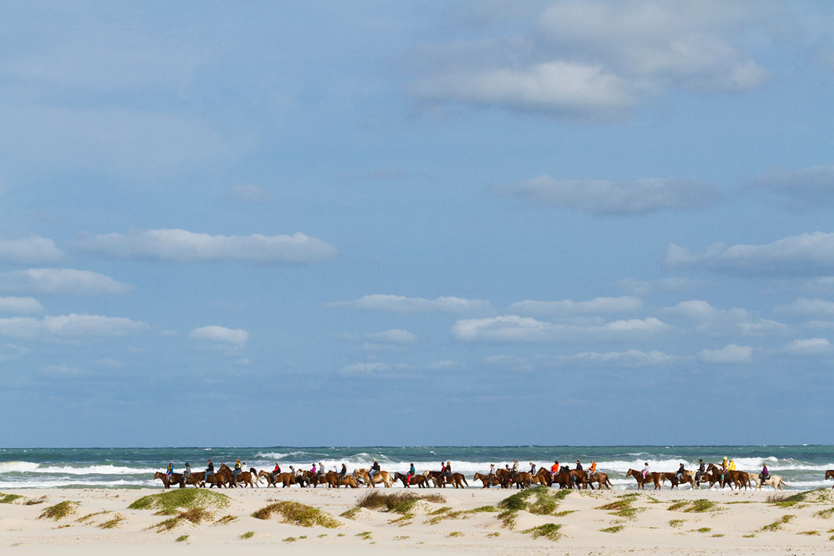 Texas beach walks