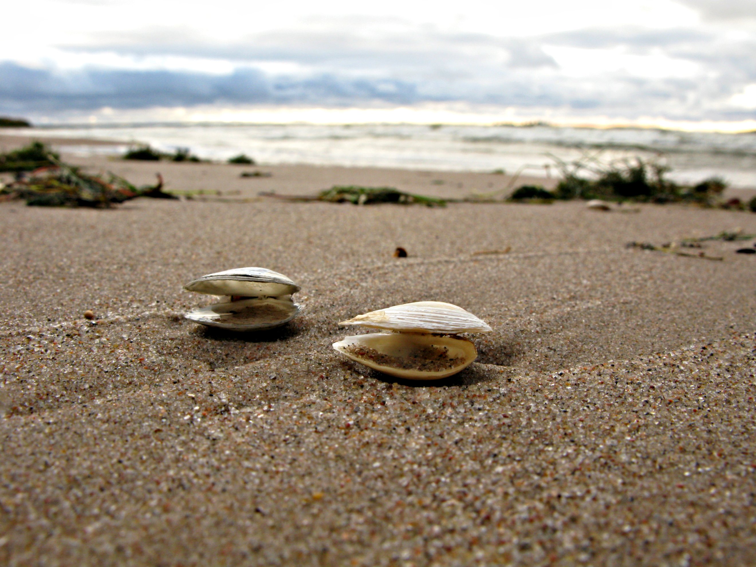 Yyteri beach