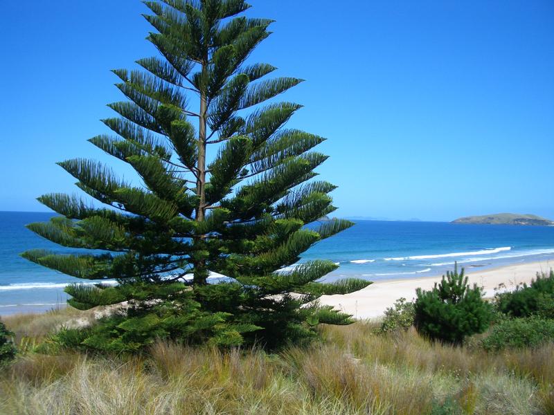 Ninety Miles beach