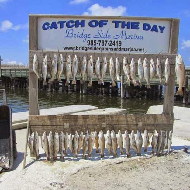 Grand Isle Catch of the Day