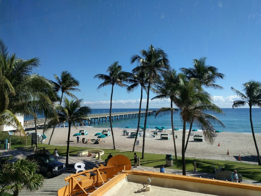 Palms, beach and pier