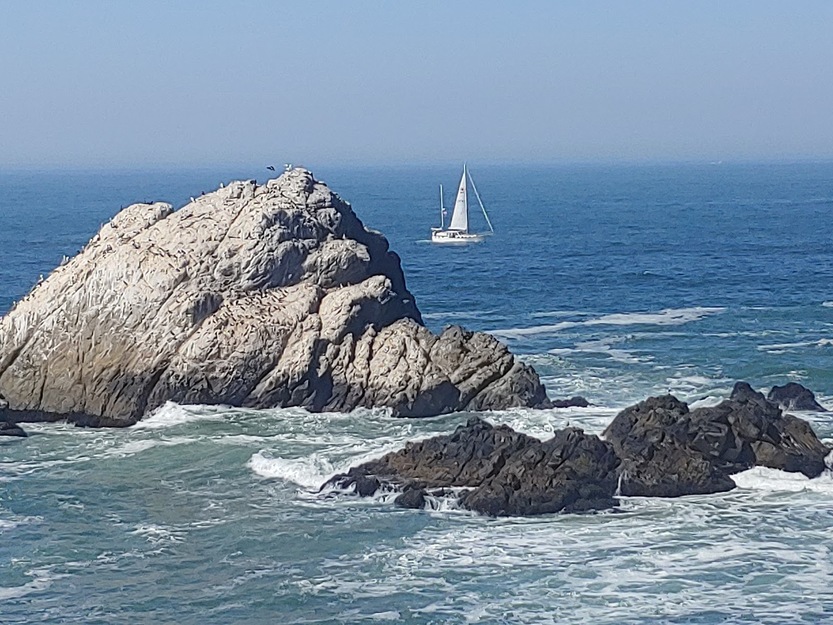 Rocks near Ocean Beach in San Fransisco CA