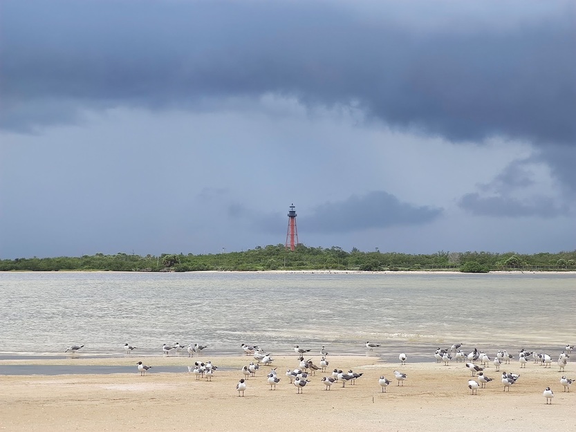 Anclote Key Preserve State Park lighthouse