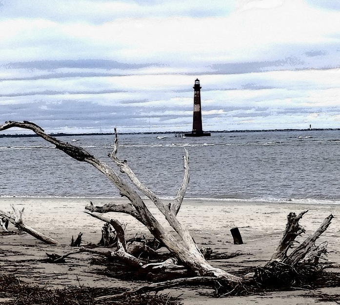 Driftwood and lighthouse