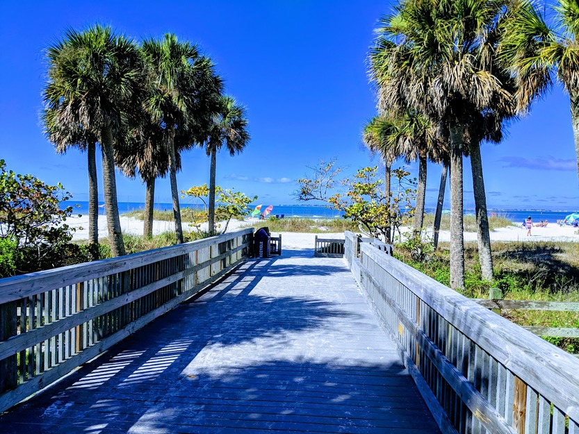 Beach boardwalk surrounded by palms