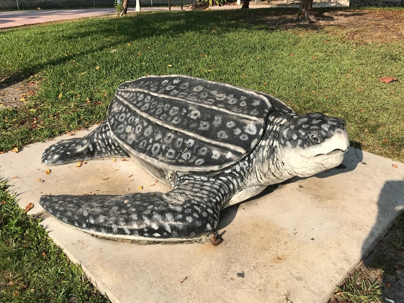 Turtle sculpture in Allison Park