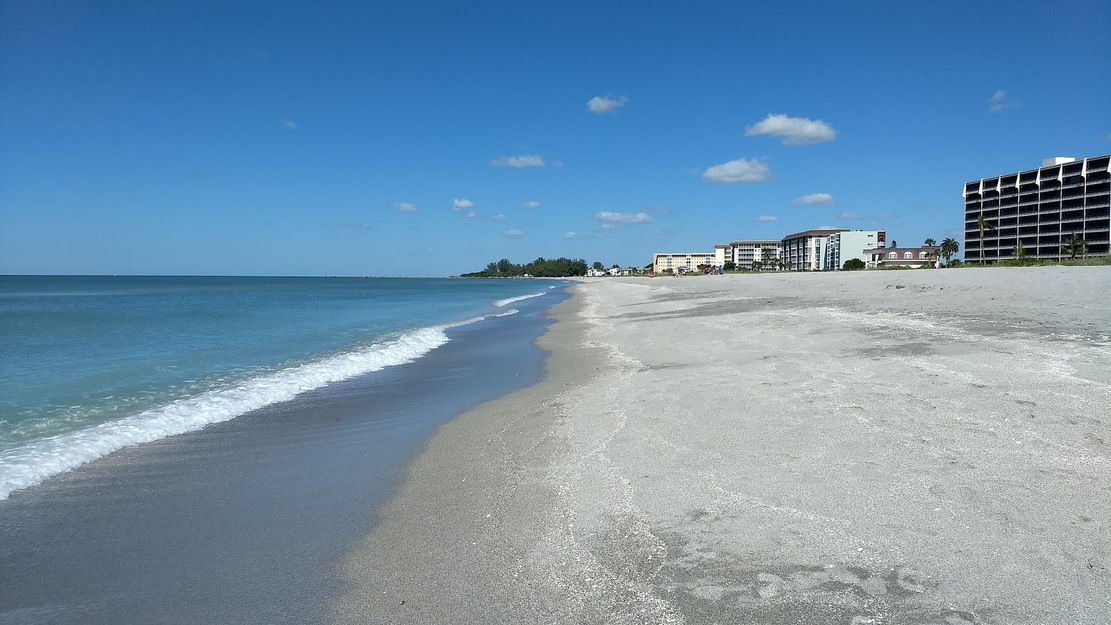 are dogs allowed on venice beach florida