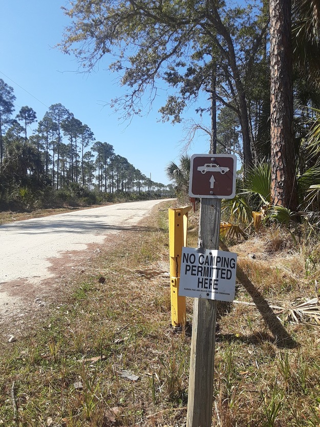 No camping shield in Hagens Cove Park Florida