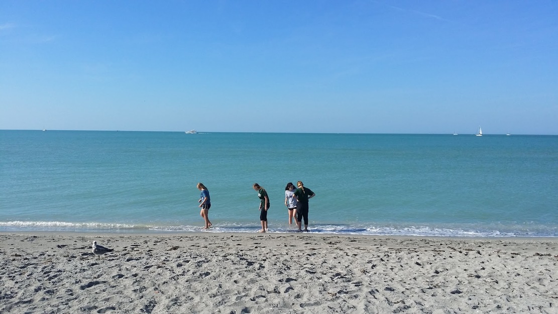 People on the beach