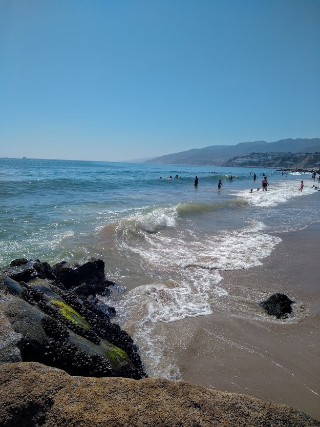 Will Rogers Beach California