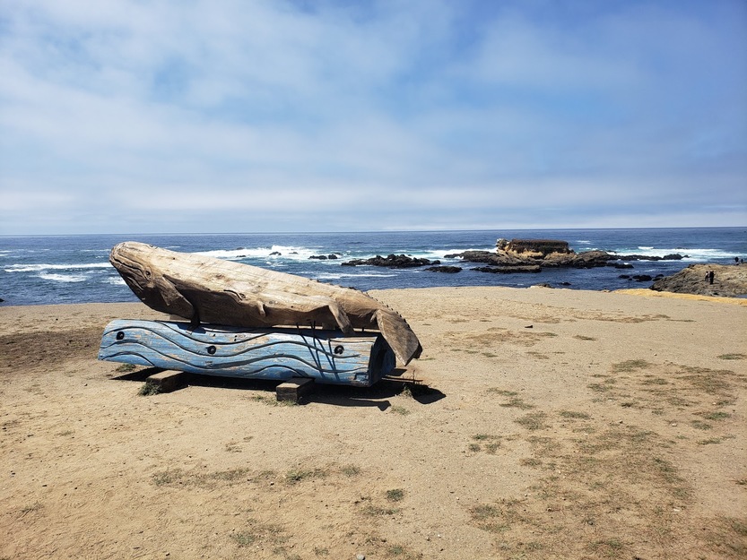 Wooden sculpture on Glass Beach California