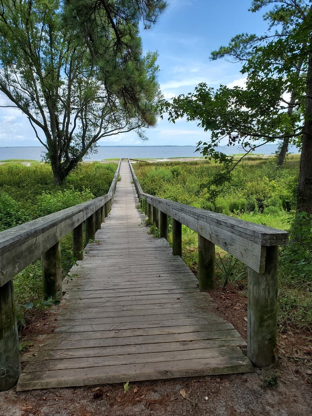 Wooden boardwalk leading from Hickory Forest to the beach