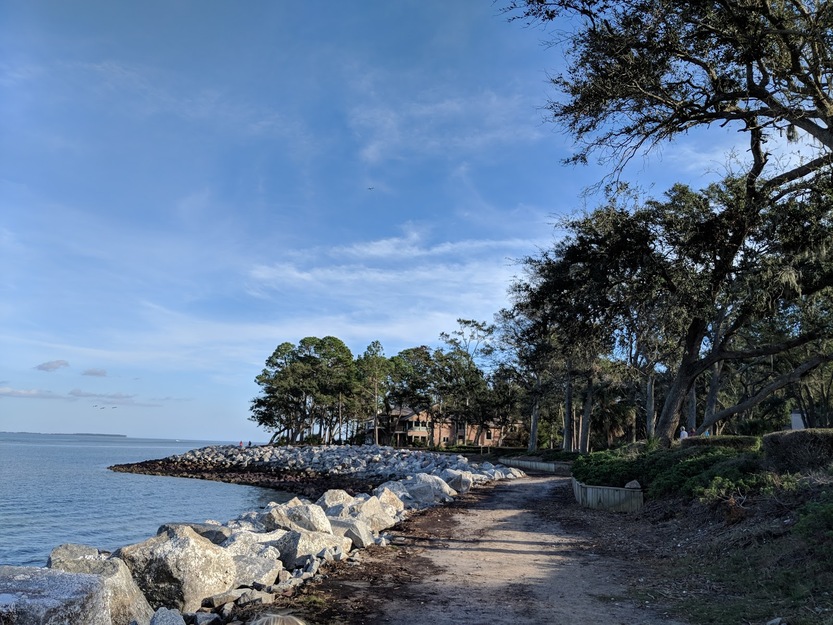 Rocks and trees in Dolphin Head Recreation Area SC