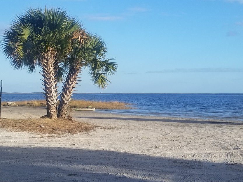Palms on Wakulla Beach, FL