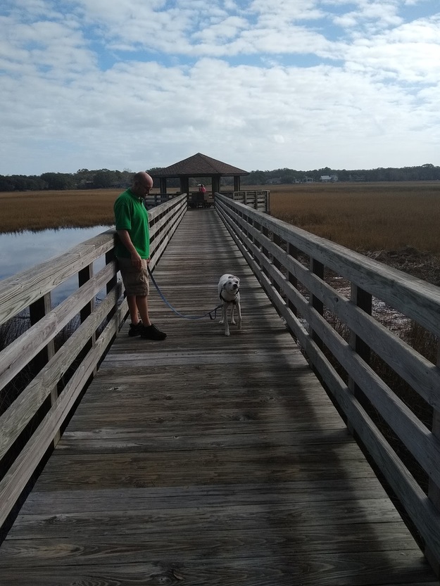 Man with a dog standing on a wooden boardwalk