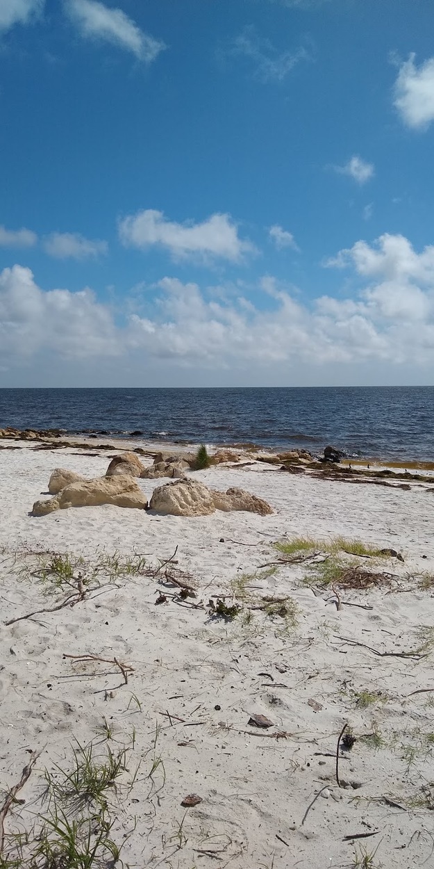 Sand figures on Mashes Sands Beach, FL