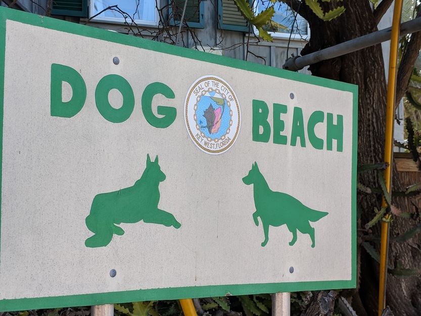Dog Beach shield