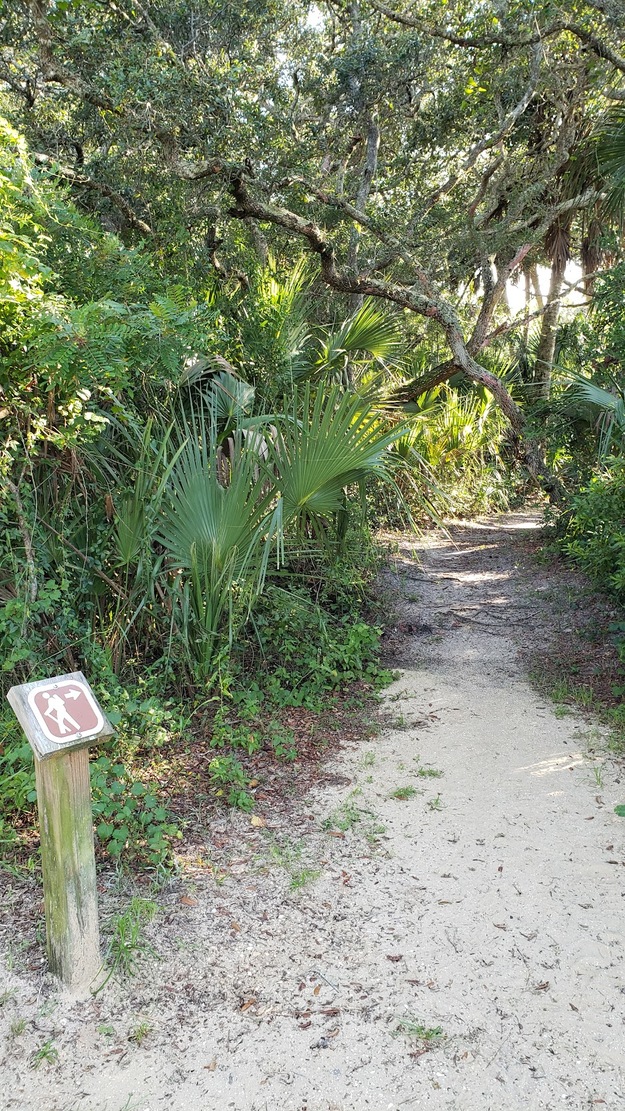 North Peninsula State Park, Florida