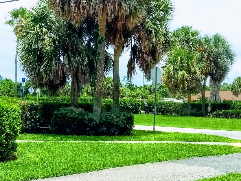South Beach Park in Vero Beach FL