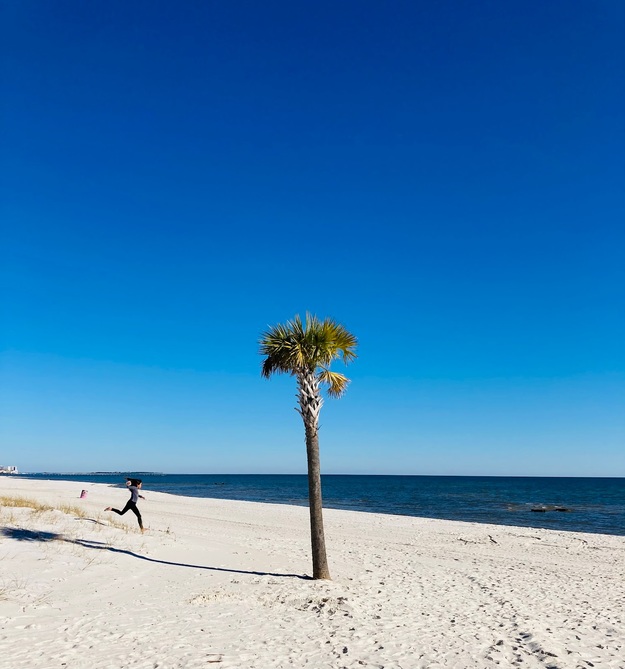 Palm on Mississippi Gulf Coast Beach