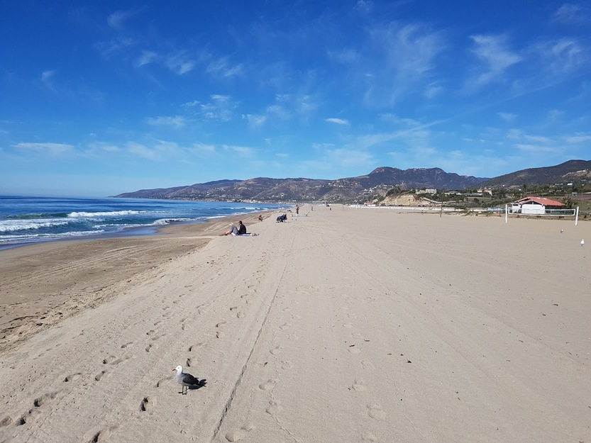 ZUMA BEACH, CALIFORNIA, USA - People on Zuma beach, public beach