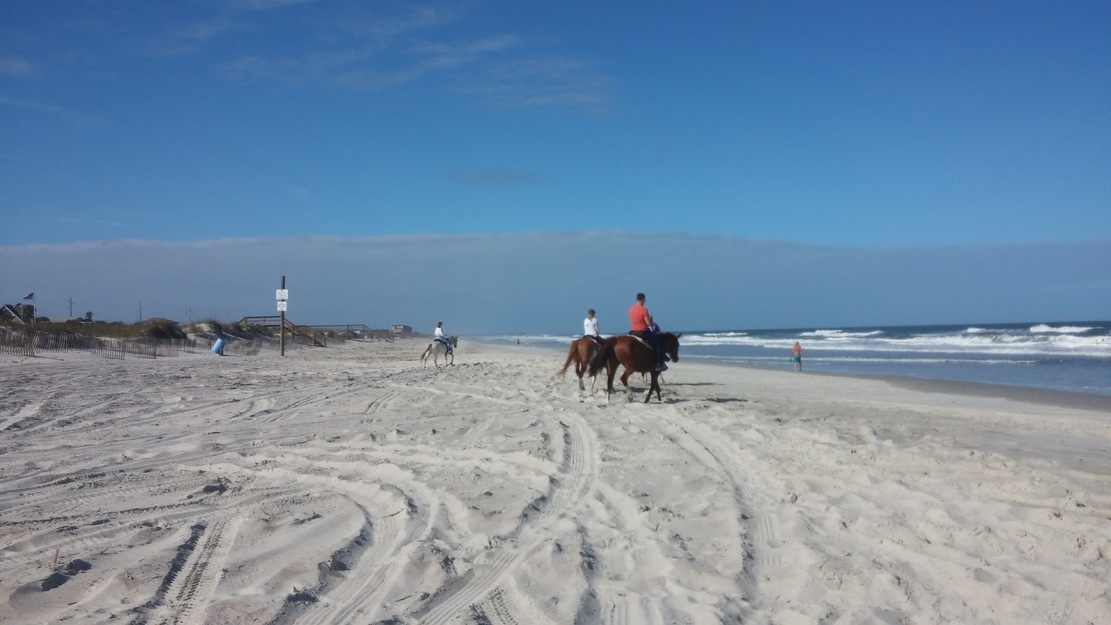 Horse riding in Peters Point Beachfront Park