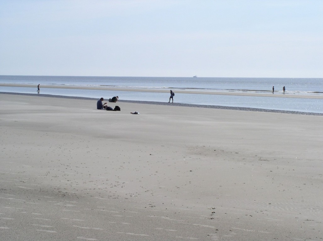 7 Miles of uninhabited beaches. Come to Sapelo Island . photo