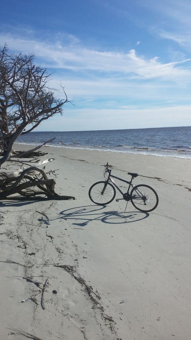 Bicycle and driftwood on the beach