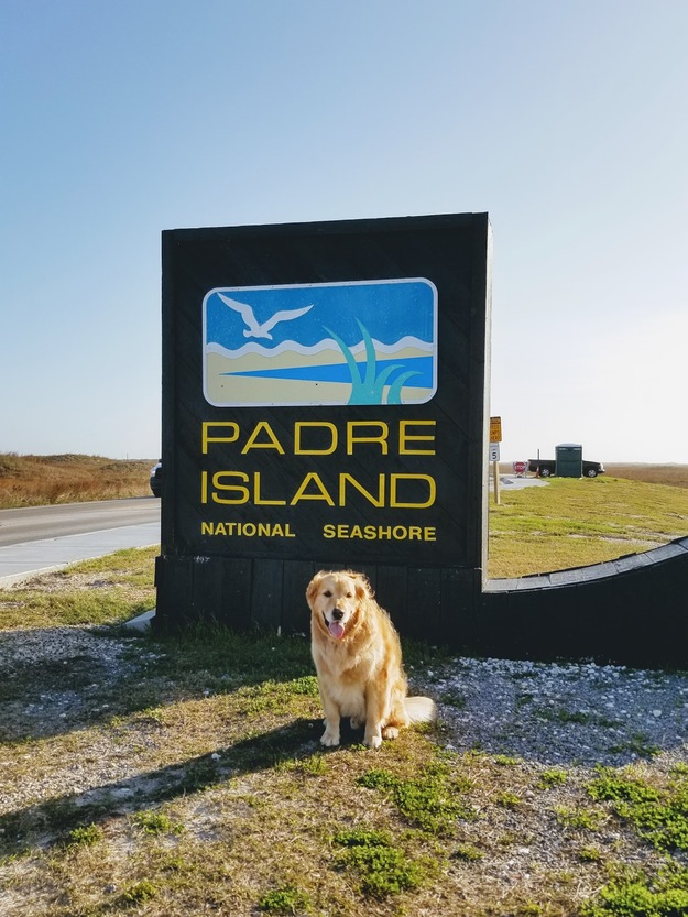 Dog sitting in front of the Padre Island National Seashore shield