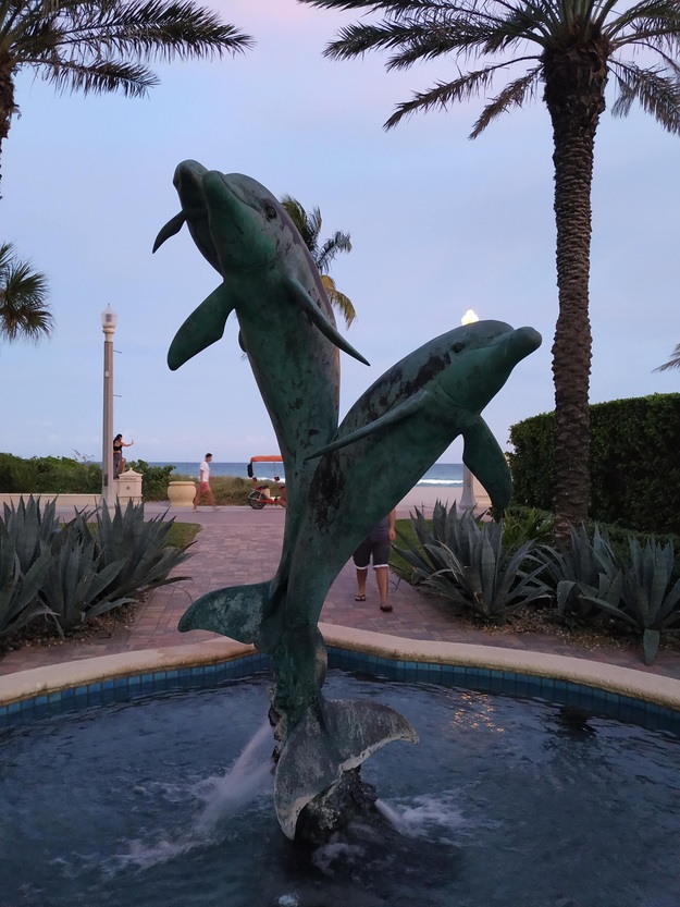 Dolphin sculpture in Hollywood North Beach Park