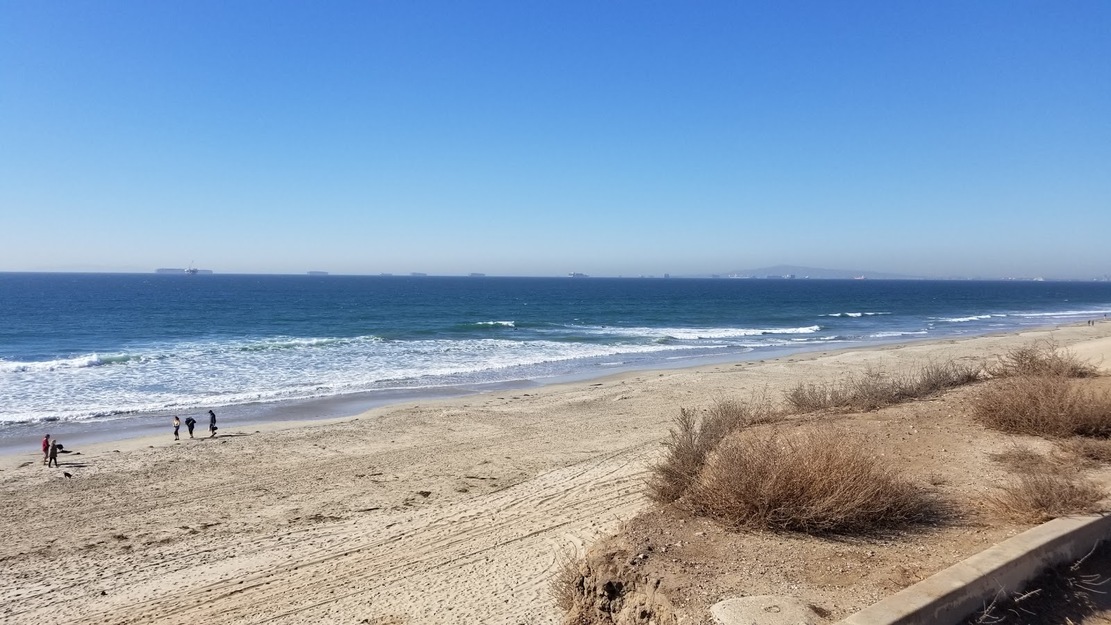 Dog Beach (Huntington Beach) CA