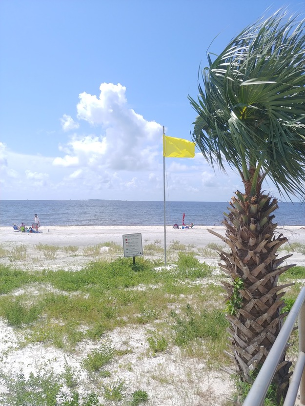Yellow flag on Carrabelle Beach