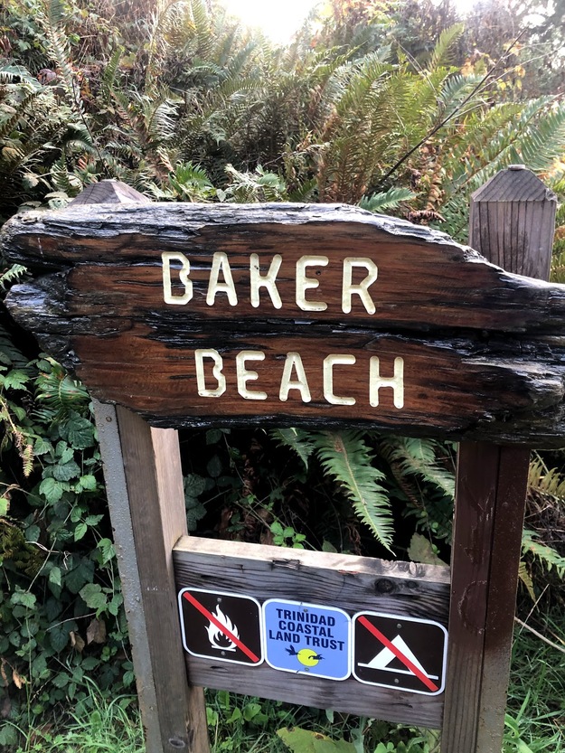 Entrance shield on Baker Beach in Trinidad, CA