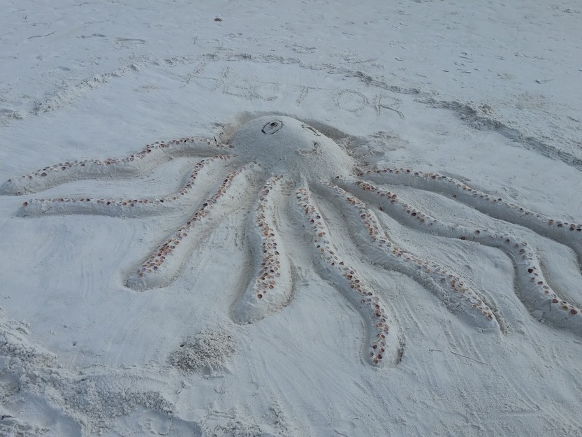 Sand figure on Mexico Beach, Florida