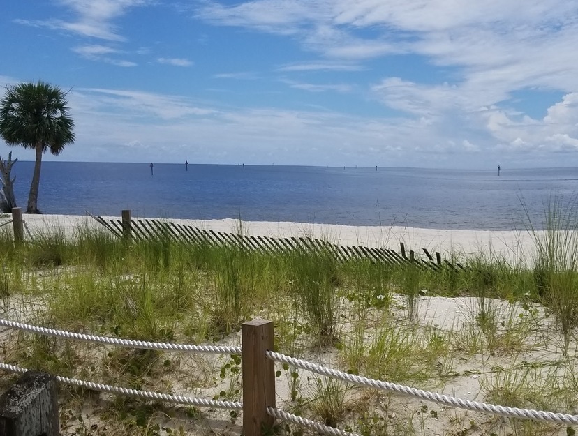 Shell Point Beach, Florida