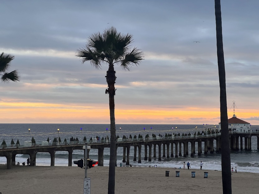 Palm near Manhattan Beach Pier California