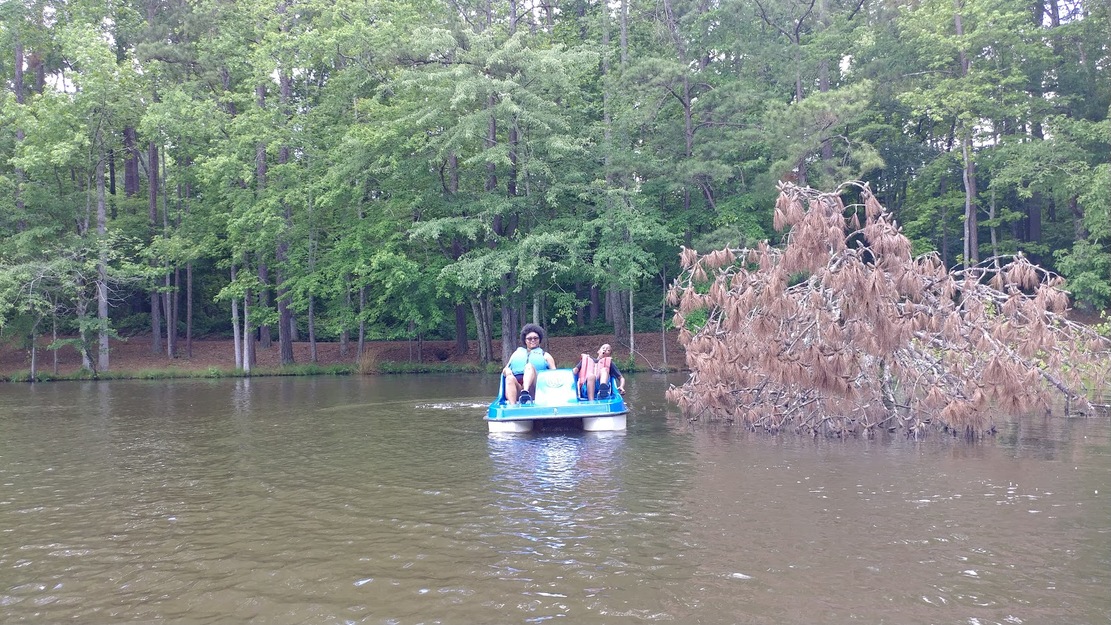 Paddleboat surrounded by trees