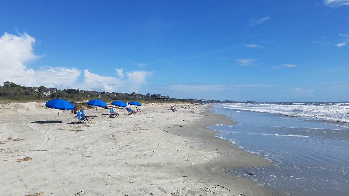 Blue umbrellas on the beach