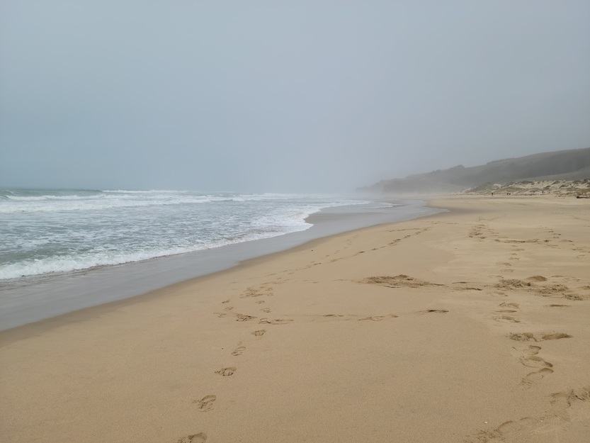 Fog over Sand Beach California