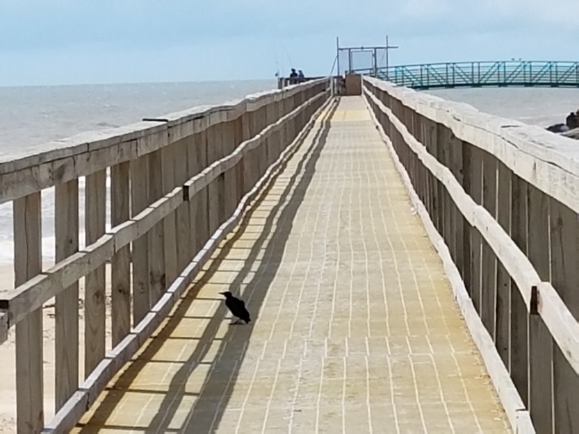 Fishing pier