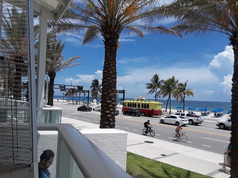 Cars driving along the beach