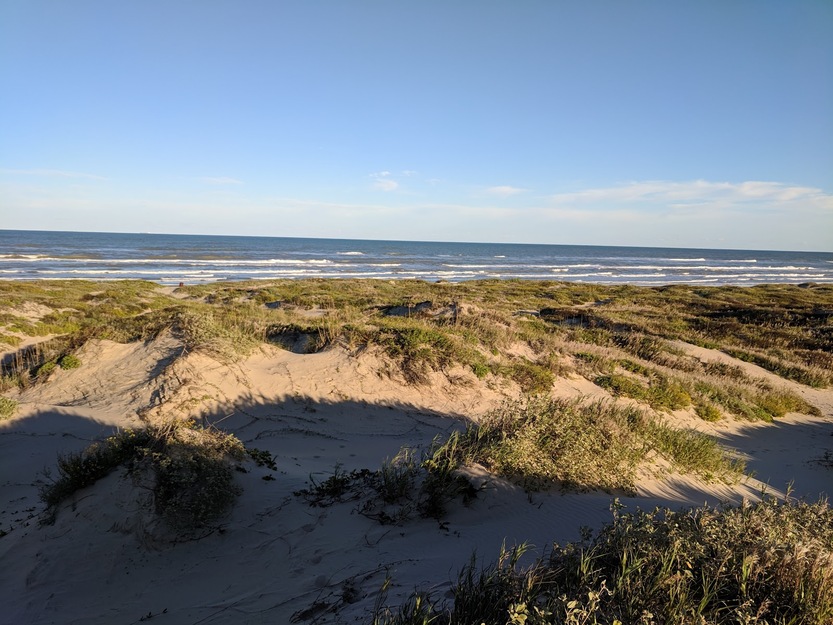 Grassy beach