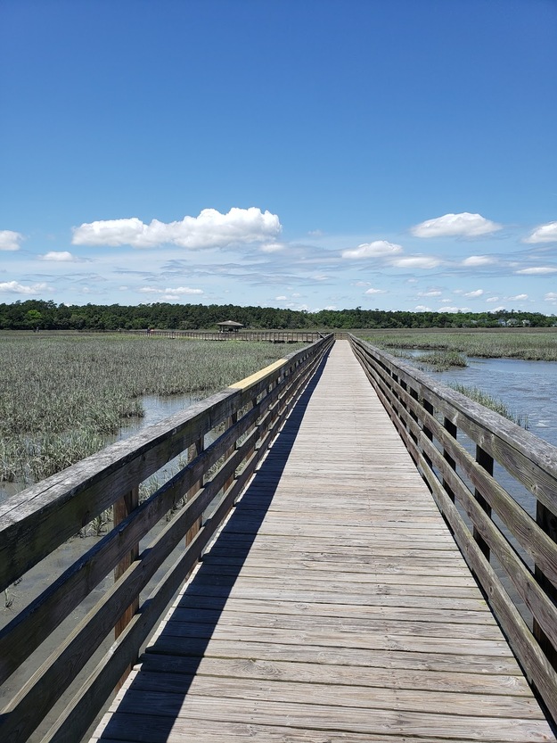 Wooden boardwalk in Huntington Beach State Park