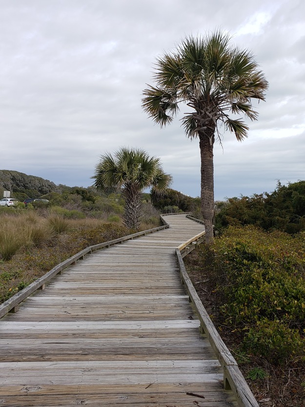 Wooden boardwalk in Myrtle Beach State Park