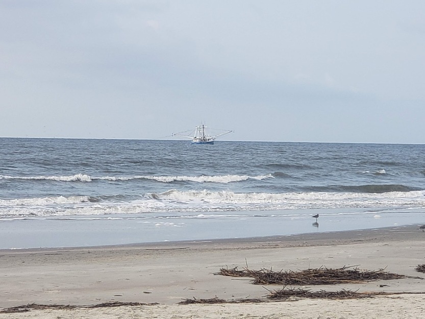 Ship in the sea