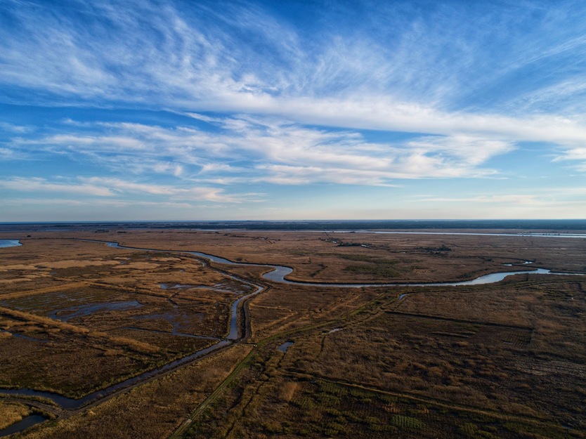 Santee Coastal Reserve aerial view