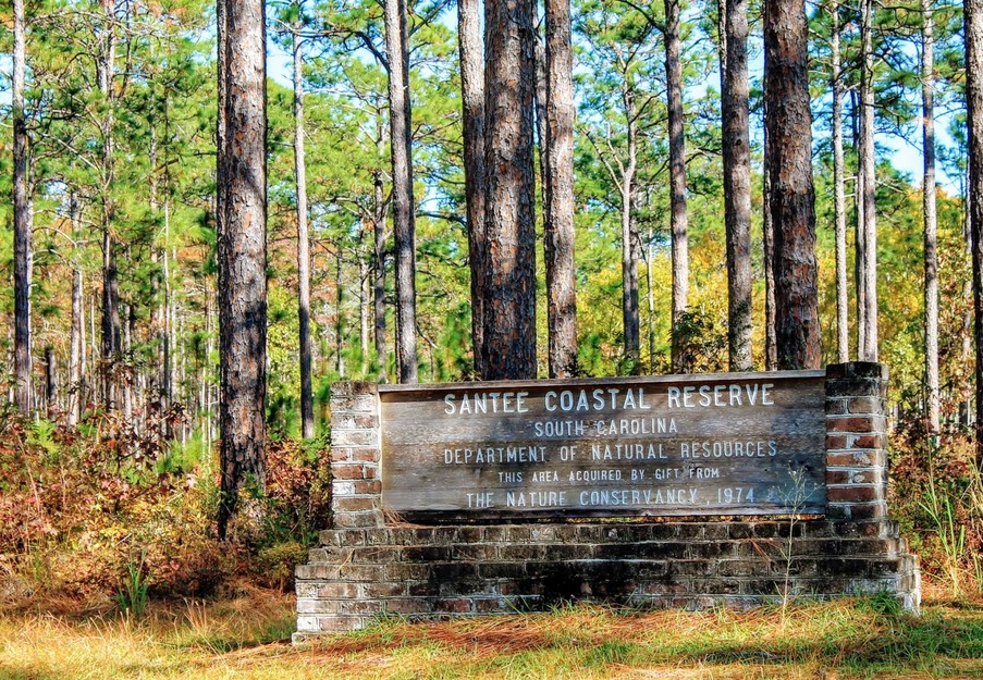 Santee Coastal Reserve Beach information shield