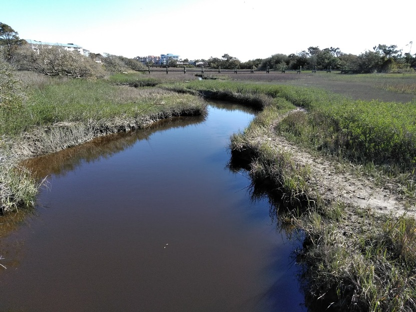 Creek