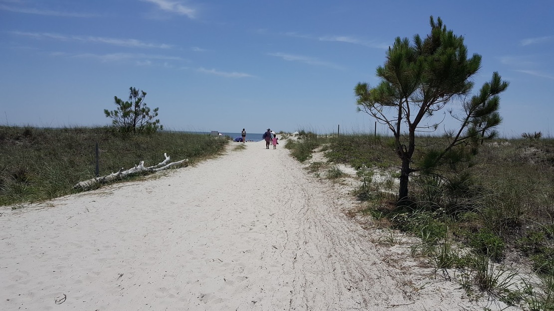 Sandy path leading to the sea