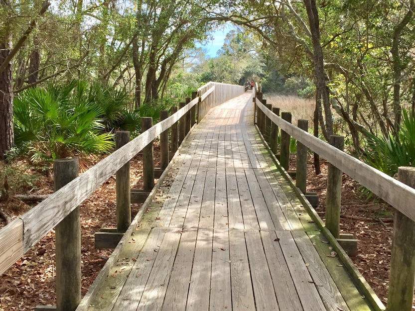Wooden boardwalk in Driessen Beach Park